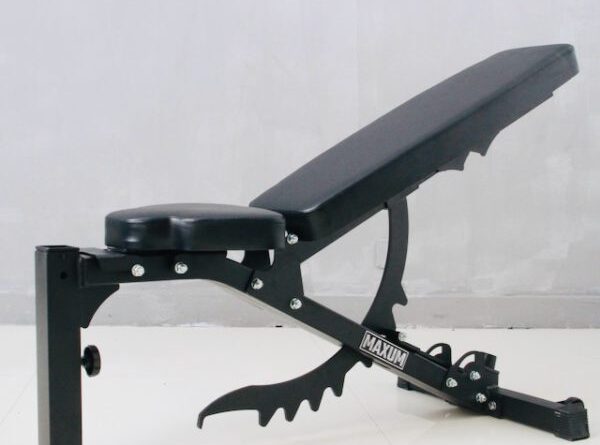 Adjustable Bench vs Flat Bench